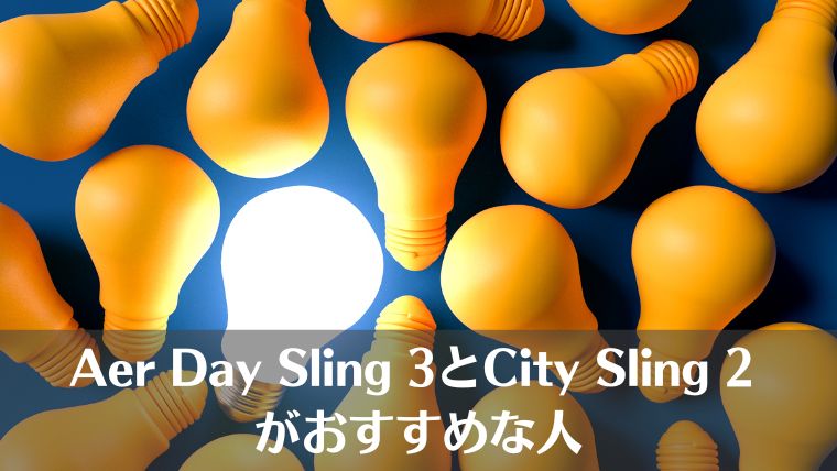 Aer Day Sling 3、vs、City Sling 2、違い、比較、おすすめ