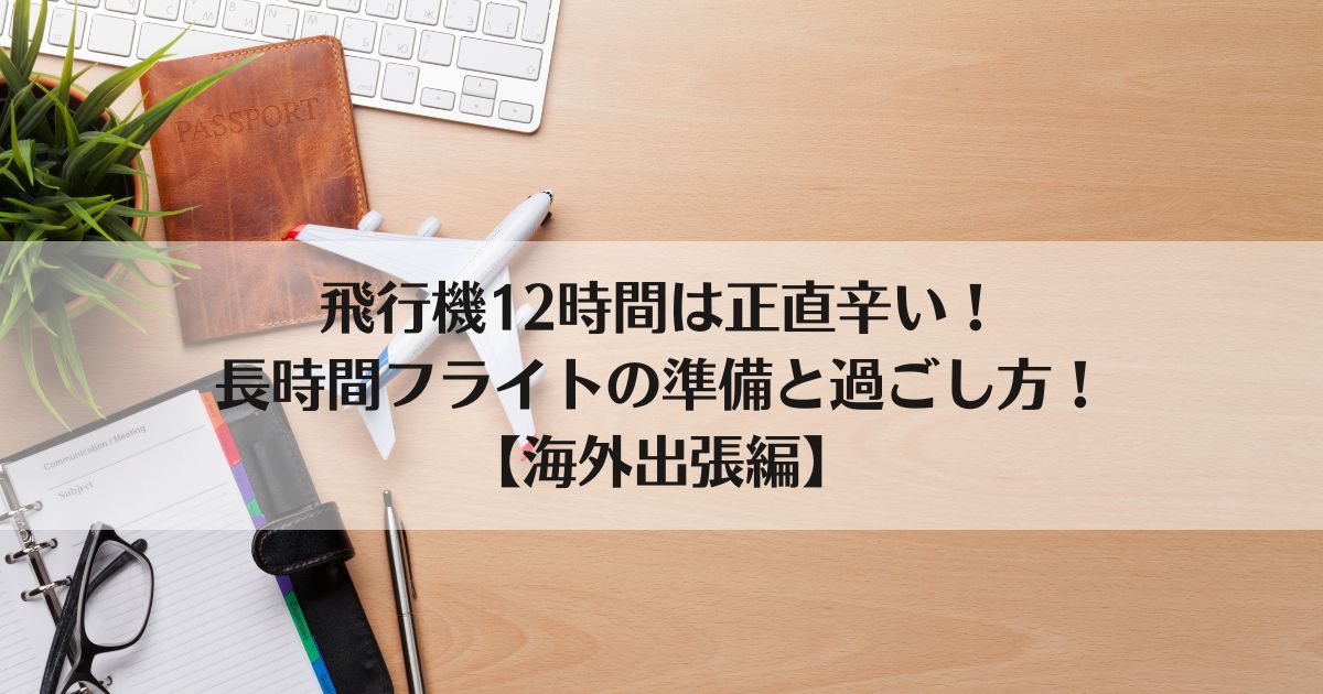 飛行機12時間、辛い、 10時間、長時間フライト、過ごし方